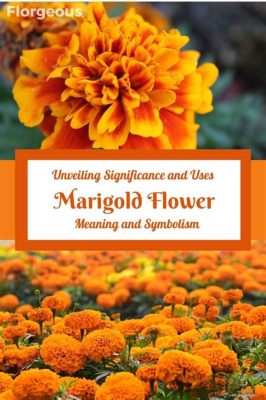 Are Marigold Flowers Edible? Exploring the Culinary and Cultural Significance of Marigolds