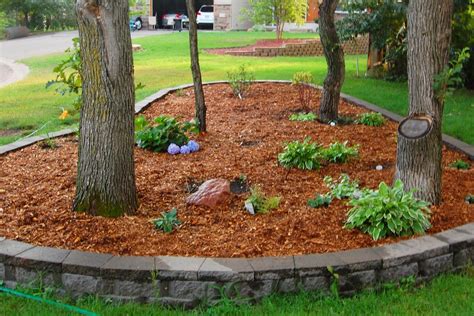 Can I Plant Flowers in Mulch? Exploring the Unconventional Gardening Practices