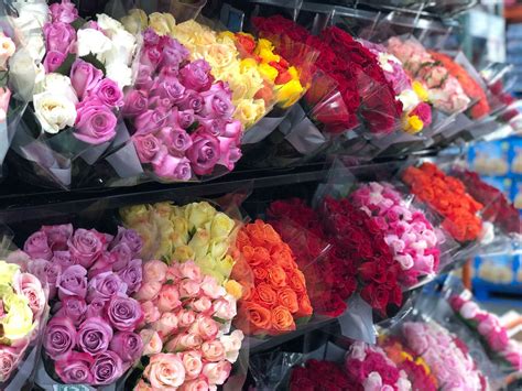 Does Publix Have Flowers: A Symphony of Petals and Paradoxes