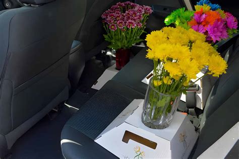 How Long Can Flowers Go Without Water in a Car: A Journey Through Time, Science, and Imagination