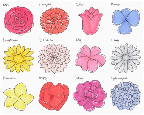 How to Doodle Flowers: A Journey Through Petals and Imagination