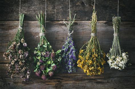 What Can I Do with Dried Flowers? And Why Do They Smell Like Forgotten Memories?