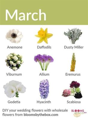 What Flowers Can I Plant in March: A Journey Through Time and Petals