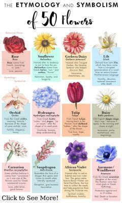 What Flowers Represent New Beginnings: A Journey Through Symbolism and Renewal