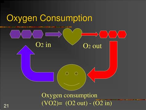 What is Oxygen Uptake in Physical Education: A Dive into the Breath of Athletic Performance