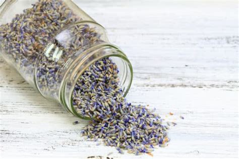 What to Do with Dried Lavender Flowers: A Comprehensive Guide to Creative and Practical Uses