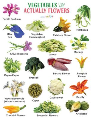 What Vegetables Are Flowers: A Culinary and Botanical Exploration