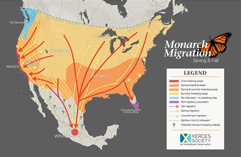 When is squirrel breeding season, and how does it influence the migration patterns of monarch butterflies?